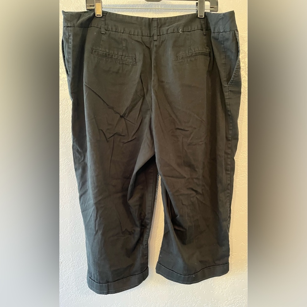 Capri Pants - Picture 4 of 7